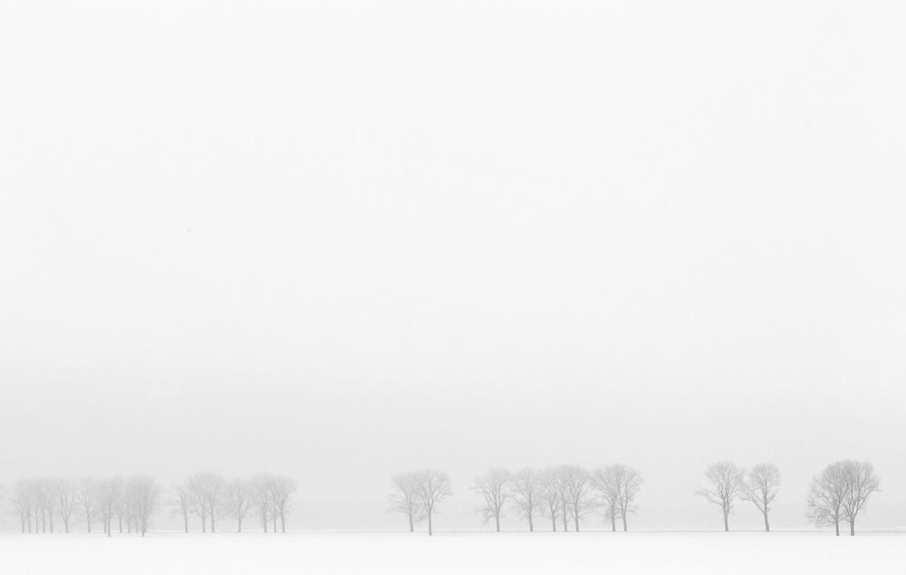 Photograph by Людмила Прокофьева