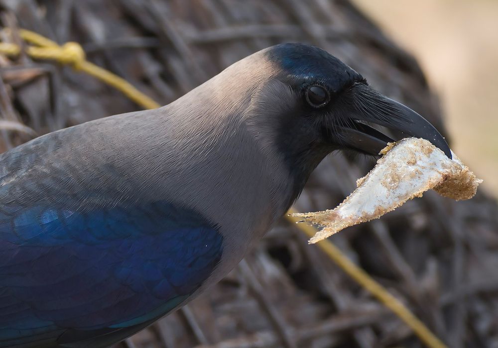 Фотография автора Людмила Прокофьева