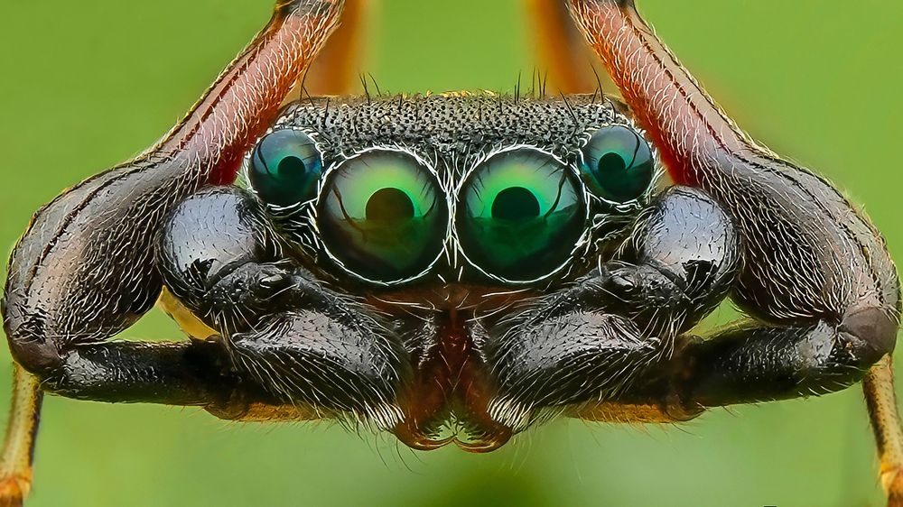 Photograph by Tinh Dang thanh