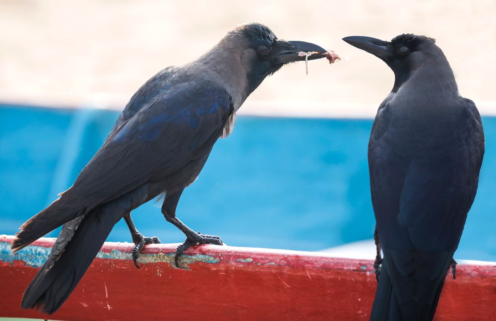 Фотография автора Людмила Прокофьева