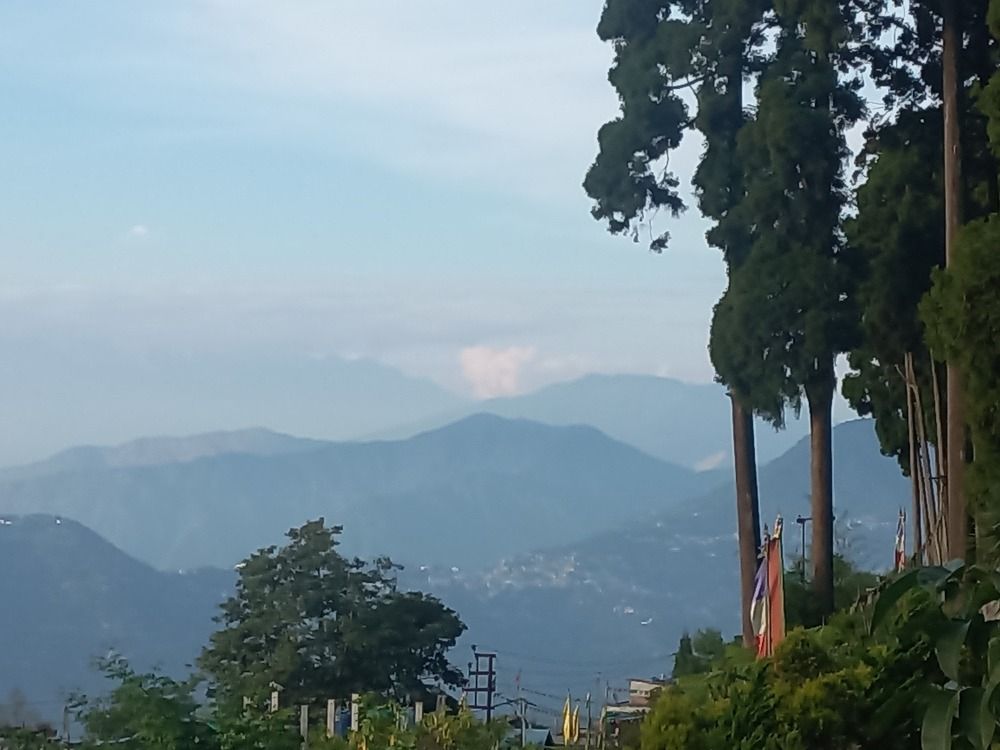 Photo #9744560
