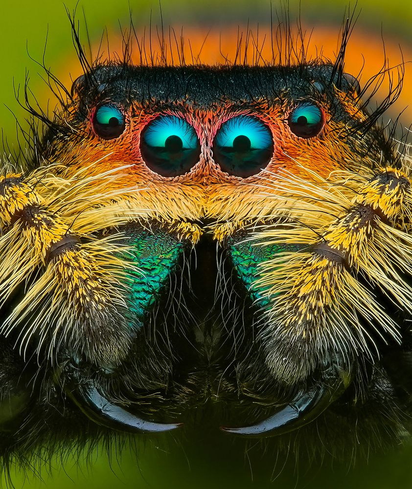 Photograph by Tinh Dang thanh