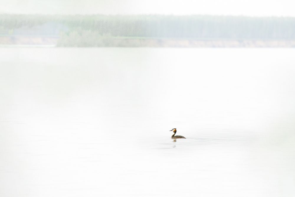 Photograph by Валентин Казанцев