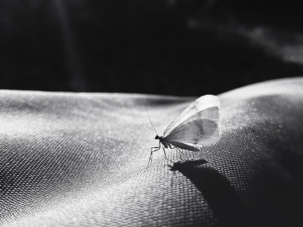 Photograph by Кристина