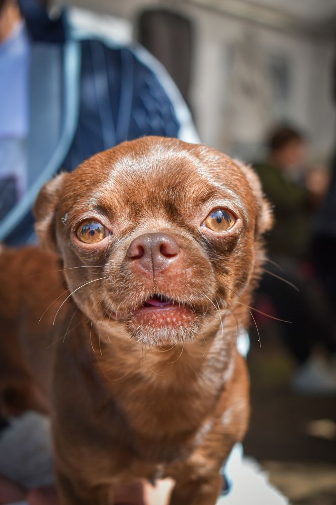 Фотография автора Кристина Шефер