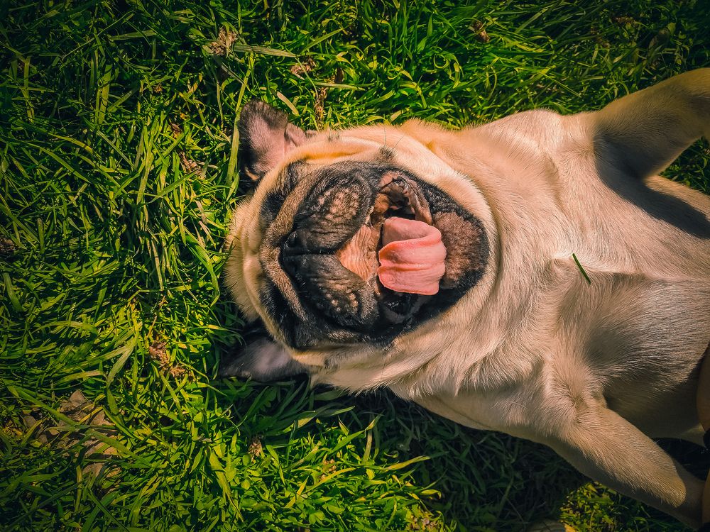 Фотография автора Кристина Шефер