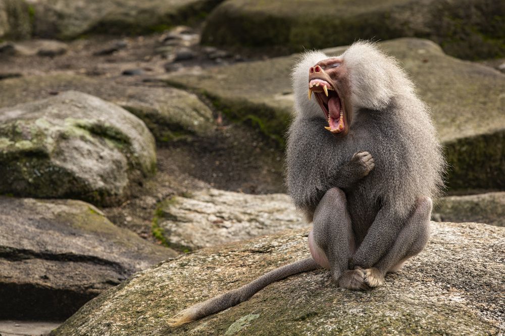 Photograph by Владимир Остапенко