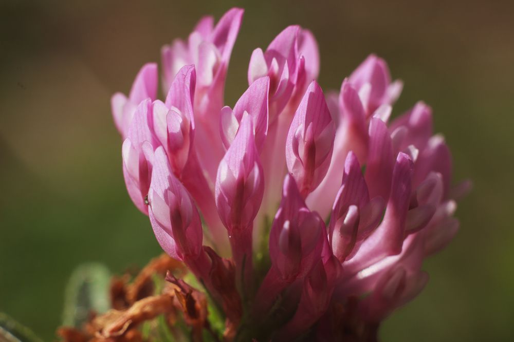 Photograph by Мария Грин (Сычёва)