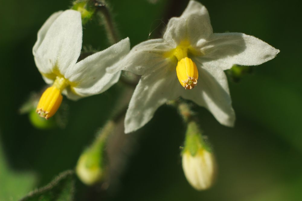 Photograph by Мария Грин (Сычёва)