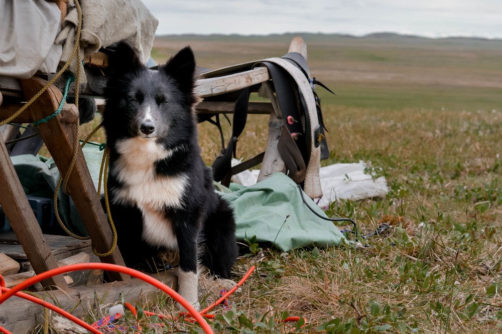 Photograph by Людмила Ларина