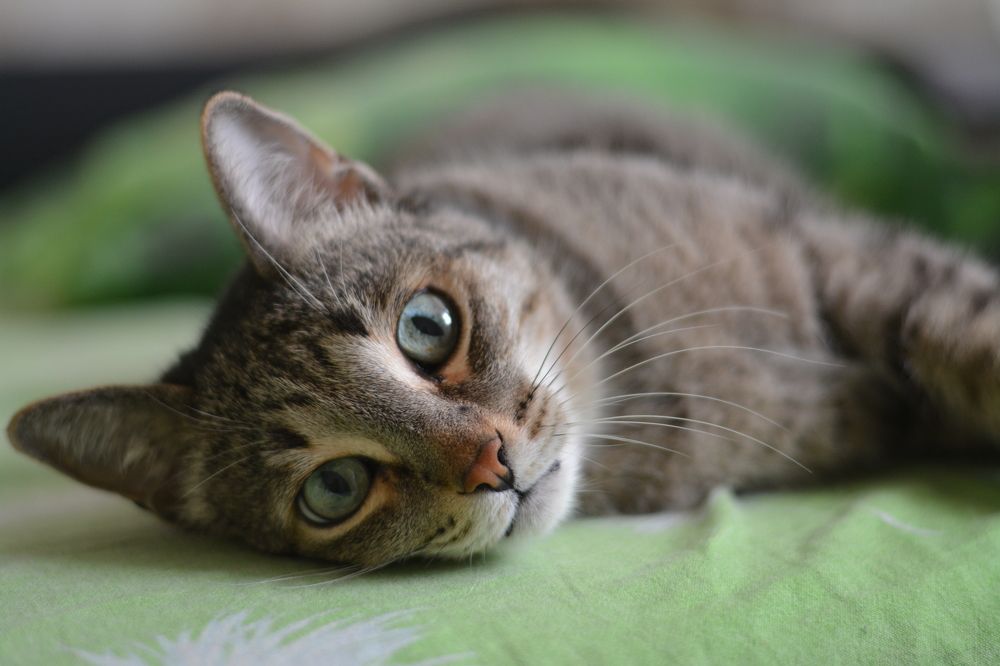 Photograph by Людмила Ларина