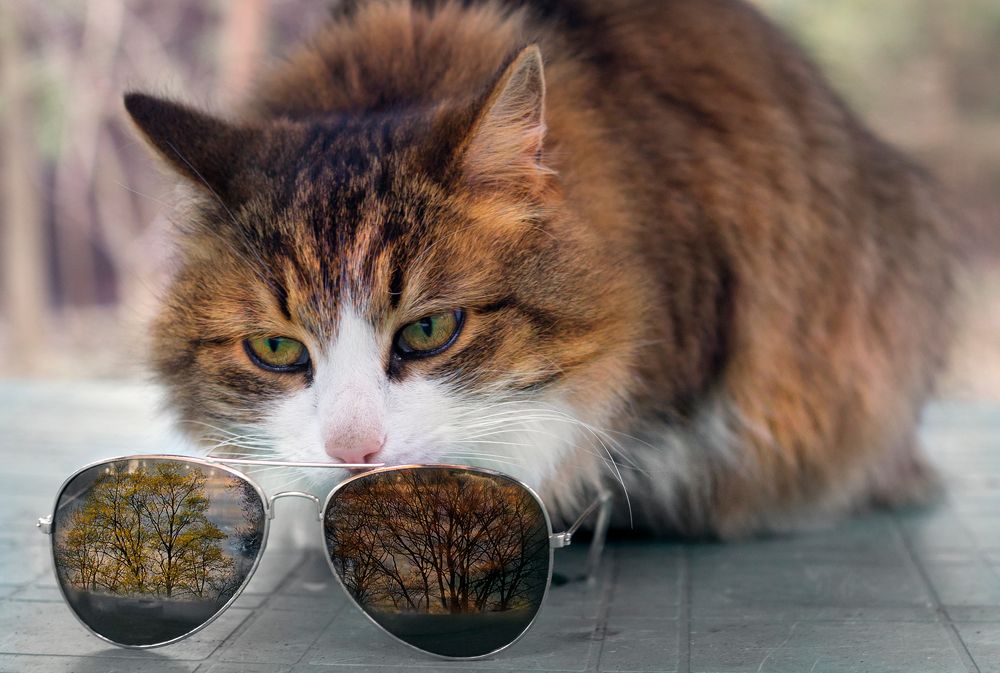 Фотография автора Людмила Прокофьева