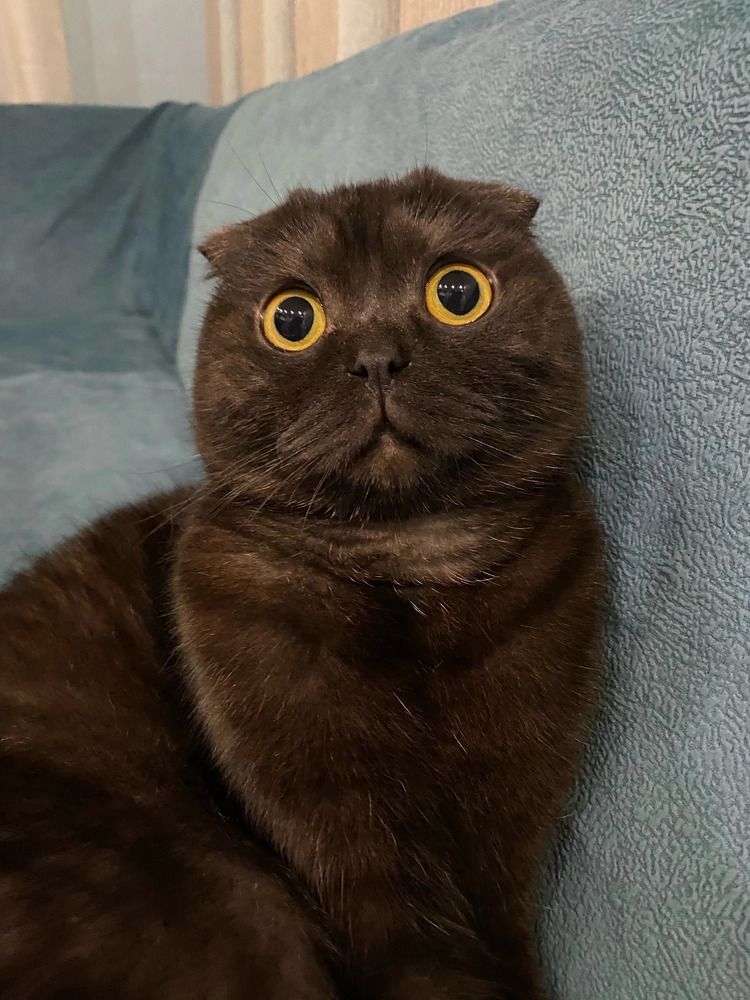 Photograph by Наталья Ситова