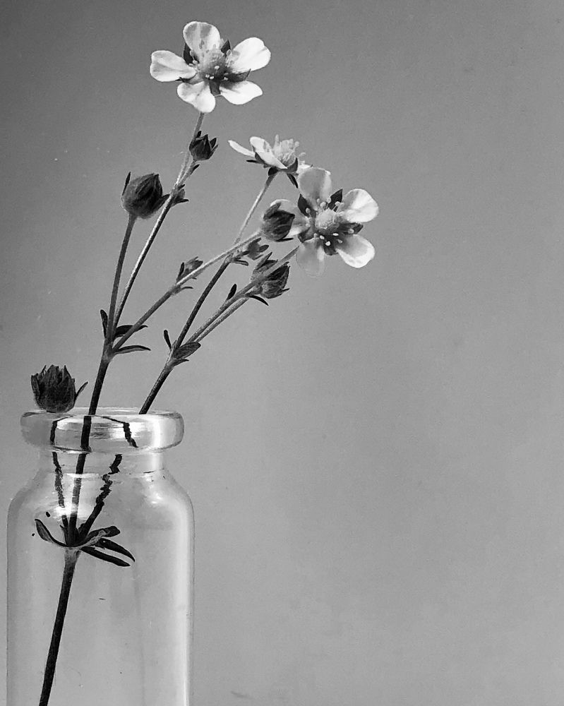 Photograph by Halina Mitsevich