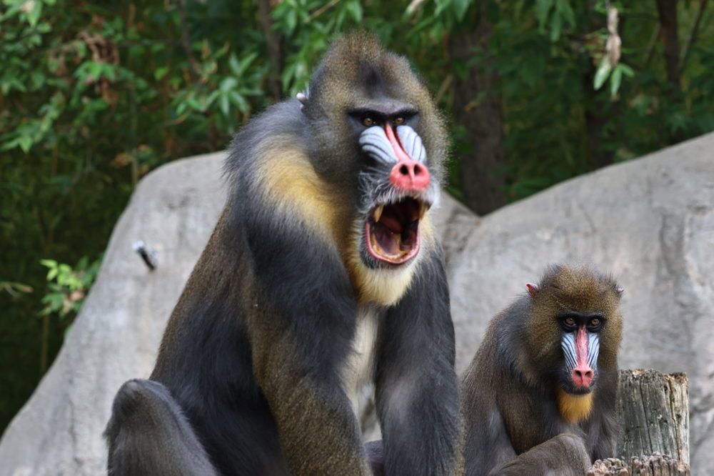 Photograph by Elaina Holland