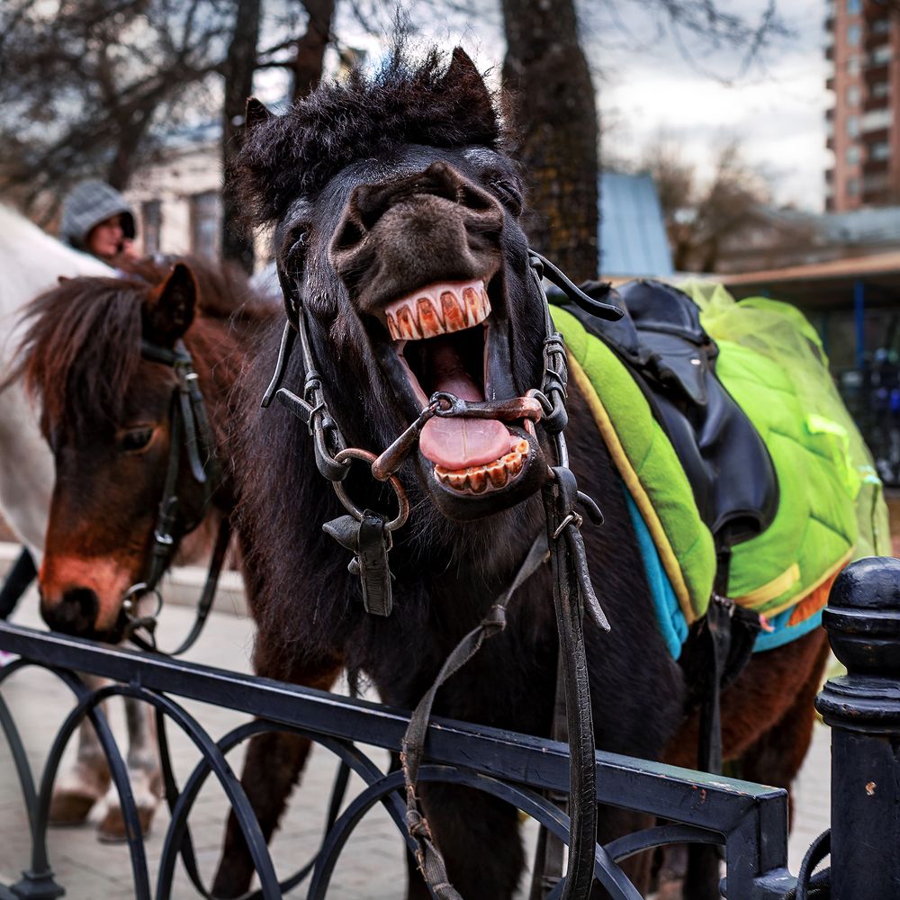 Photograph by Алексей Окунеев