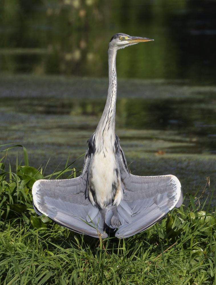 Фотография автора Александр Шипиленко