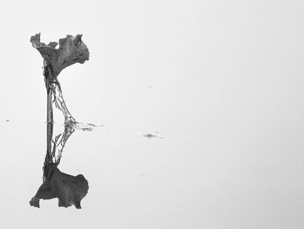 Фотография автора Александр Довганюк