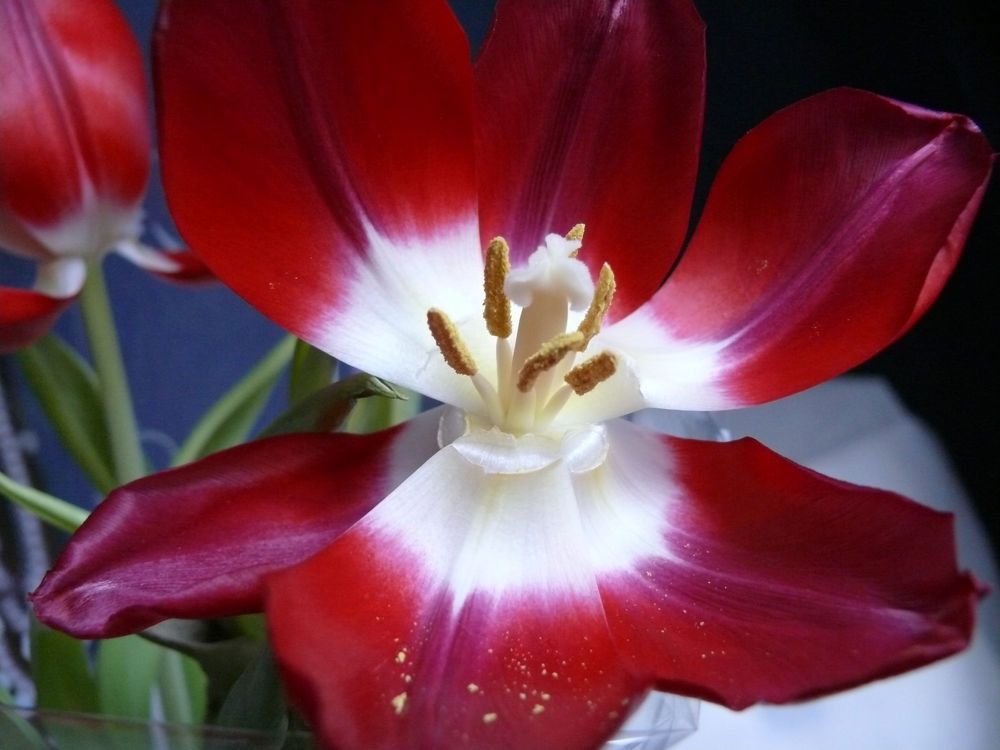 Photograph by Людмила Федорчак