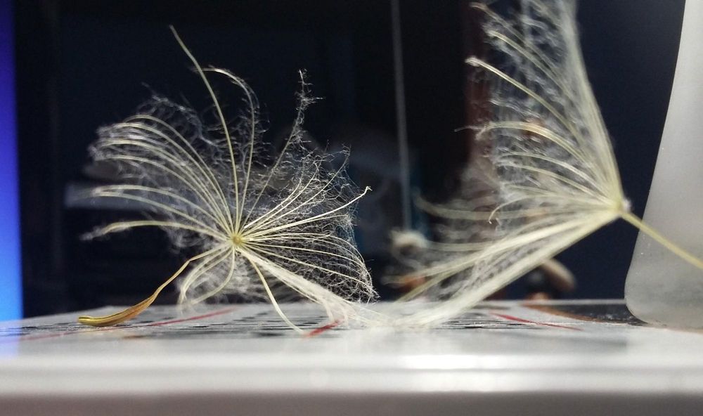 Photograph by Людмила Федорчак