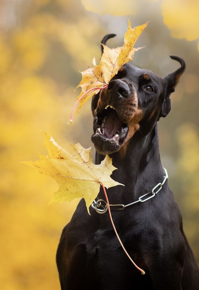 Photograph by Мария