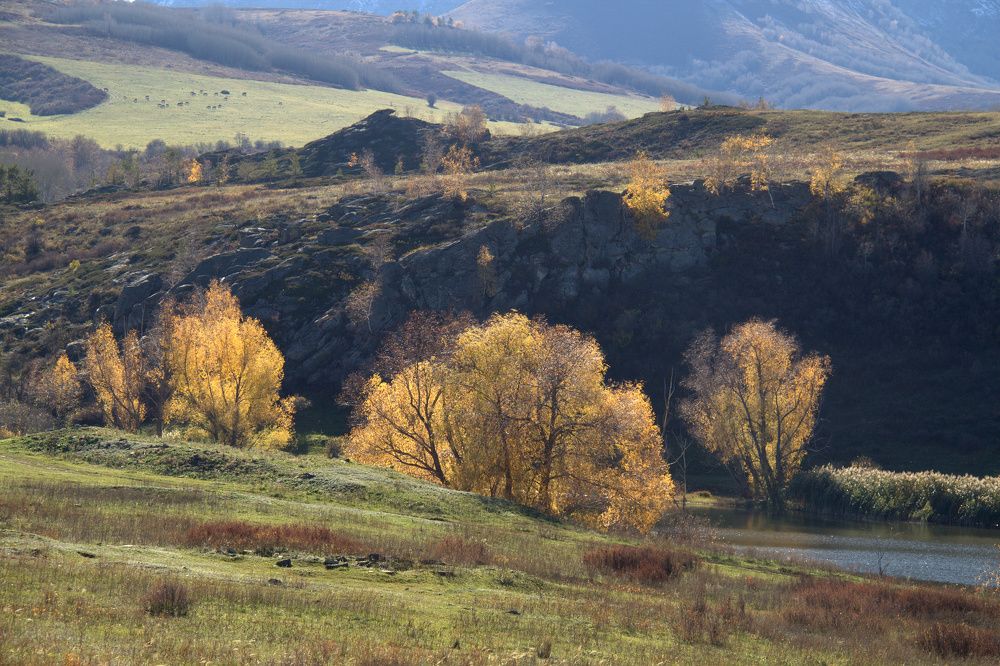 Photograph by Александр Исаченко