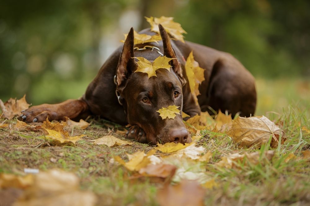 Photograph by Мария