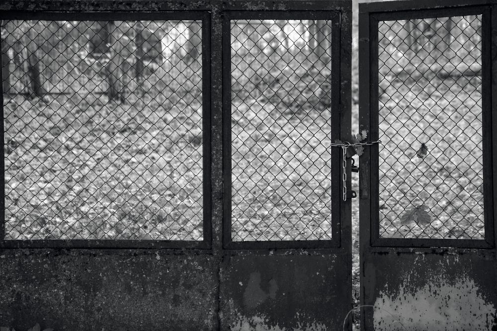 Photograph by Алексей Гунёв