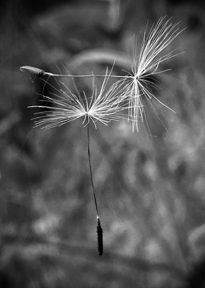 Фотография автора ГУЗАЛИЯ ГАНИЕВА