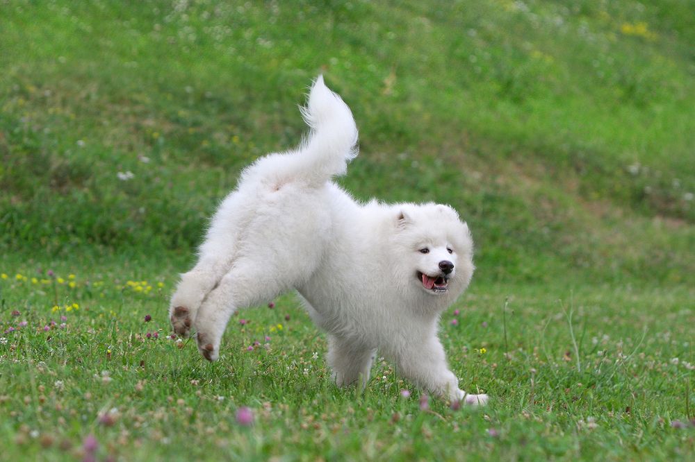 Фотография автора Надежда Лисицына