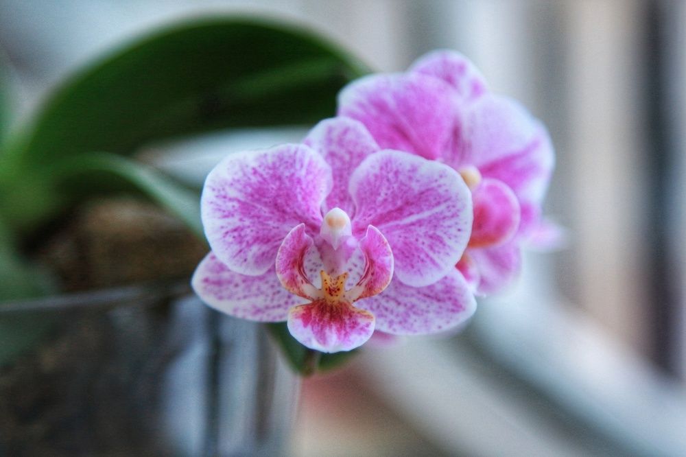 Photograph by Мария Андреева