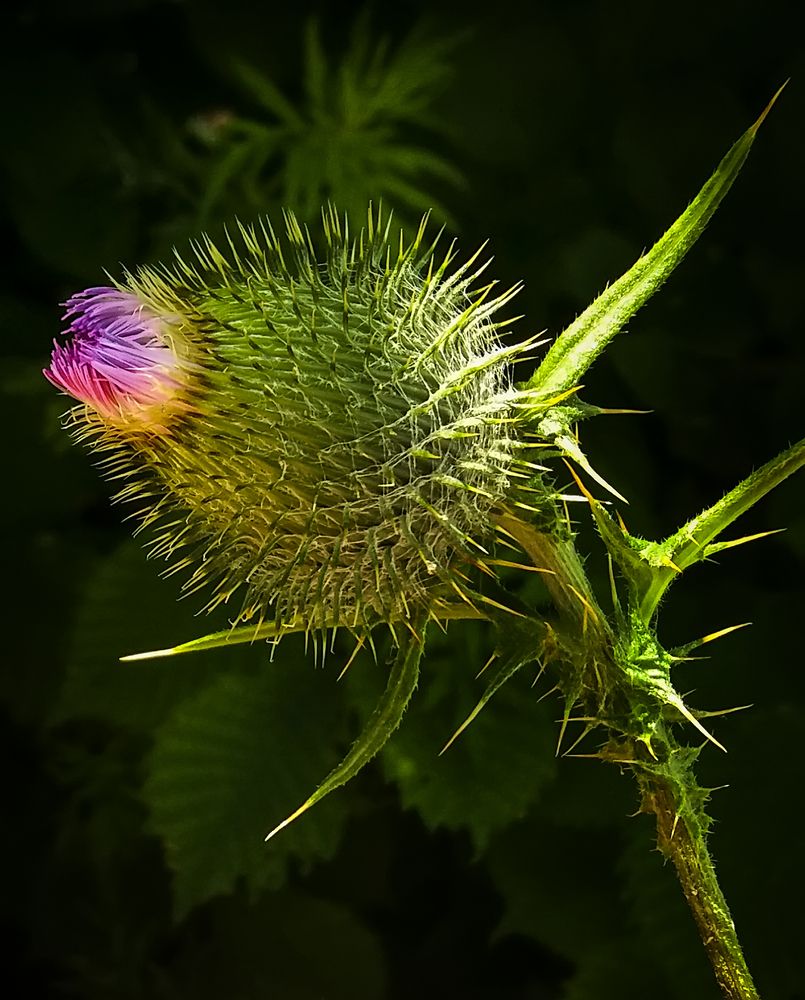 Photograph by Евгений Печенин