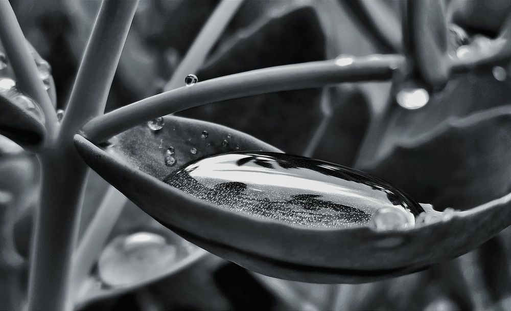 Photograph by Новикова Елена Сергеевна