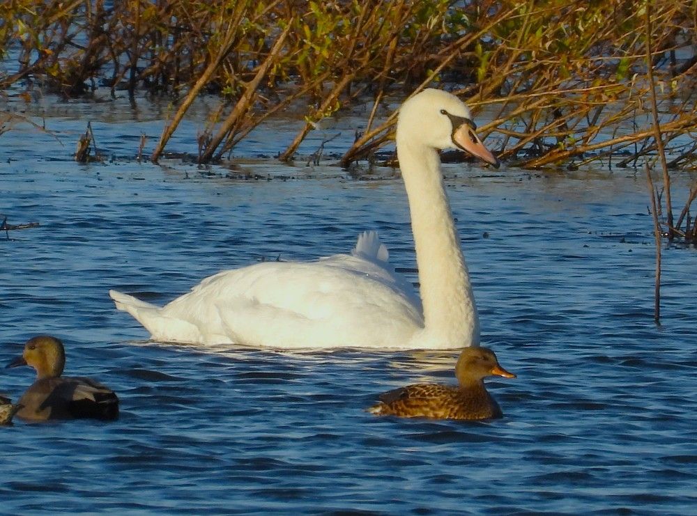 Photograph by Владимир Джерихов