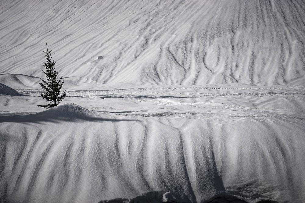 Фотография автора Татьяна Добровольская