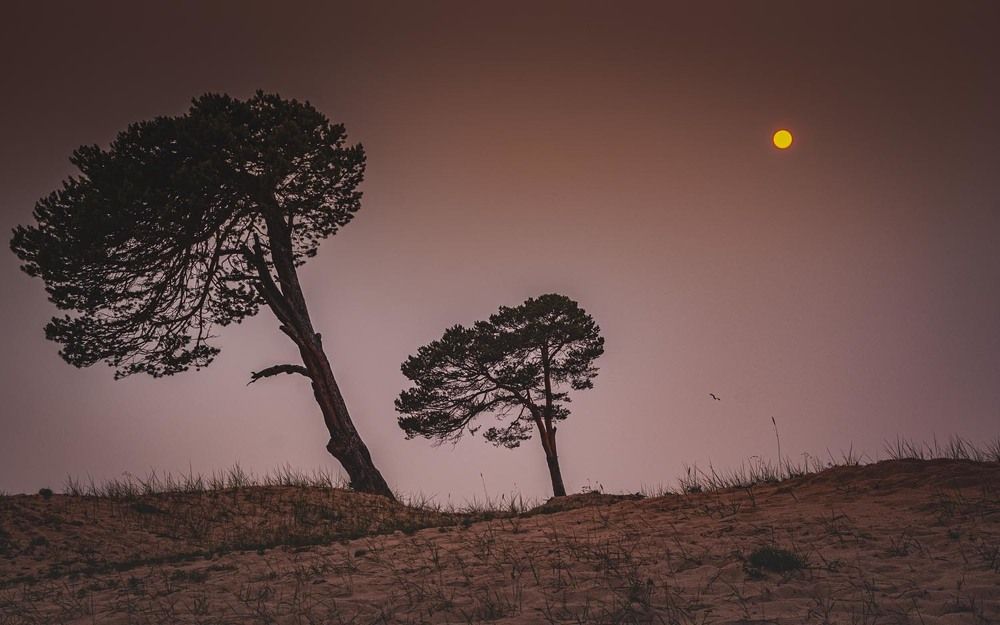 Фотография автора Татьяна Добровольская