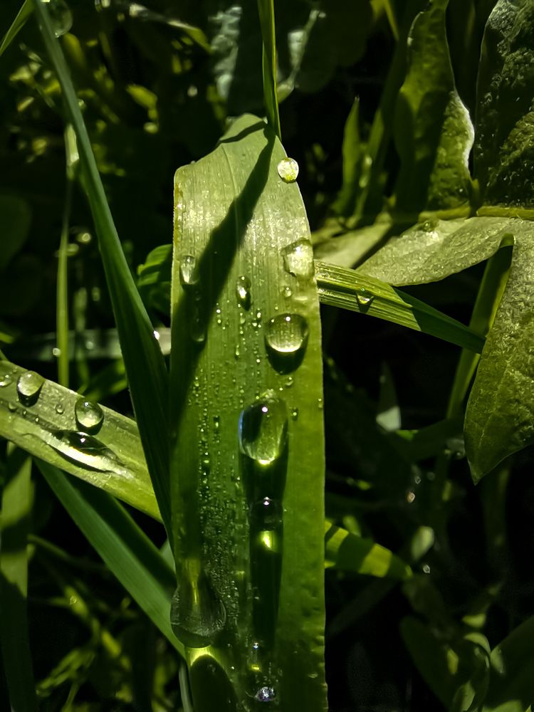 Photograph by Виктория Федосеенко
