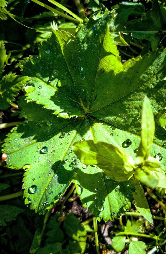 Photograph by Виктория Федосеенко