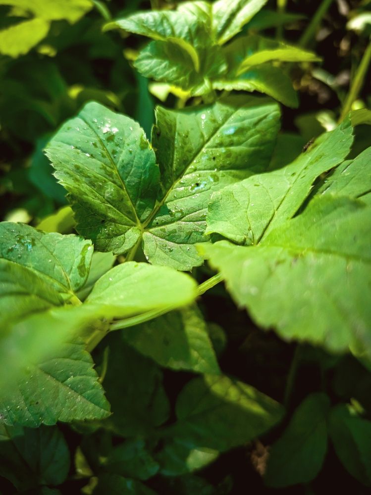 Photograph by Виктория Федосеенко