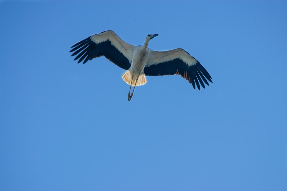 Photograph by Наталья Зверева