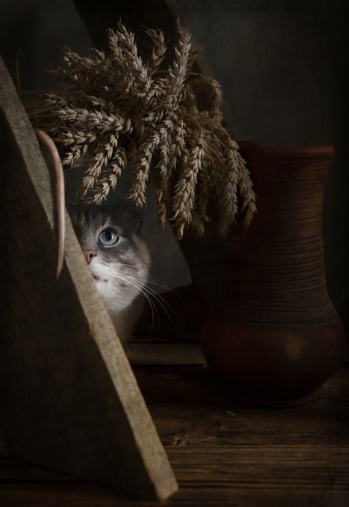 Photograph by Eleonora Grigorjeva