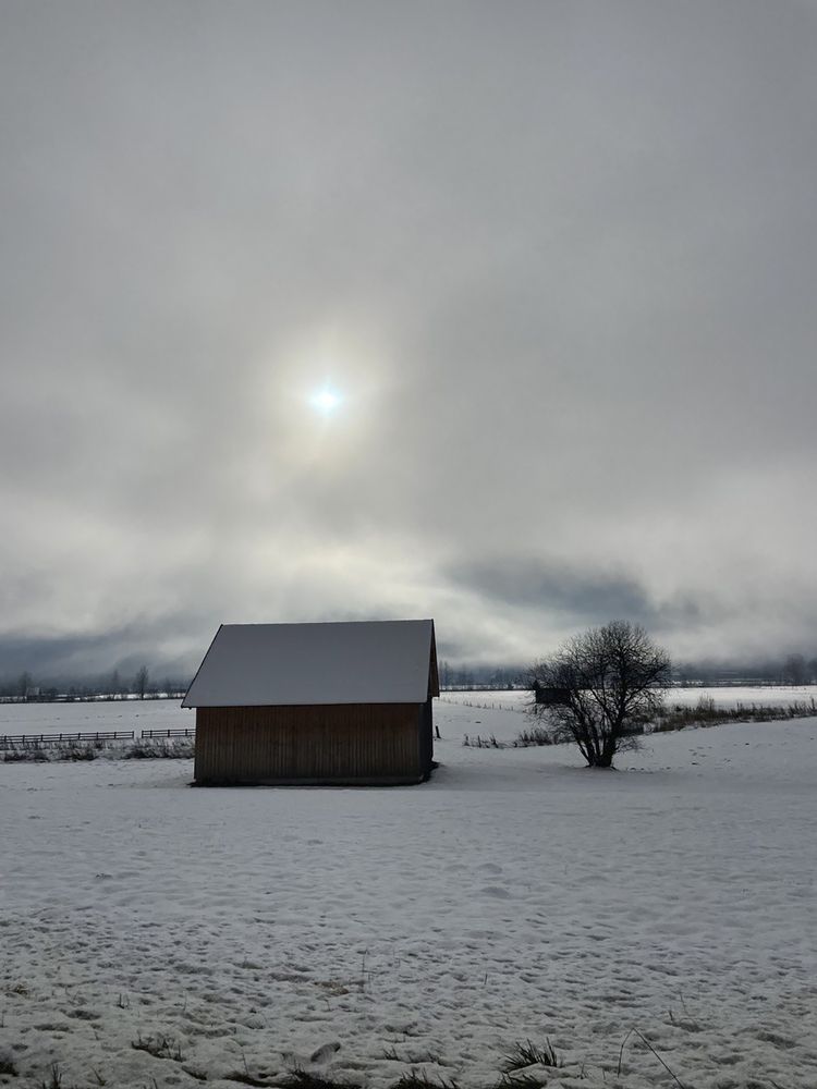 Photograph by Александра