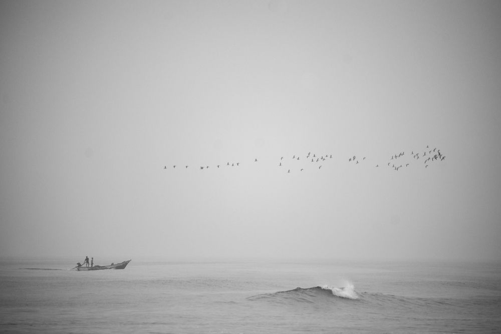 Photograph by Karishma S J