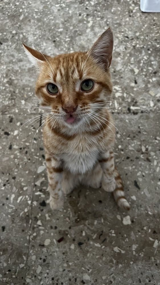 Фотография автора Юлия Недосекина