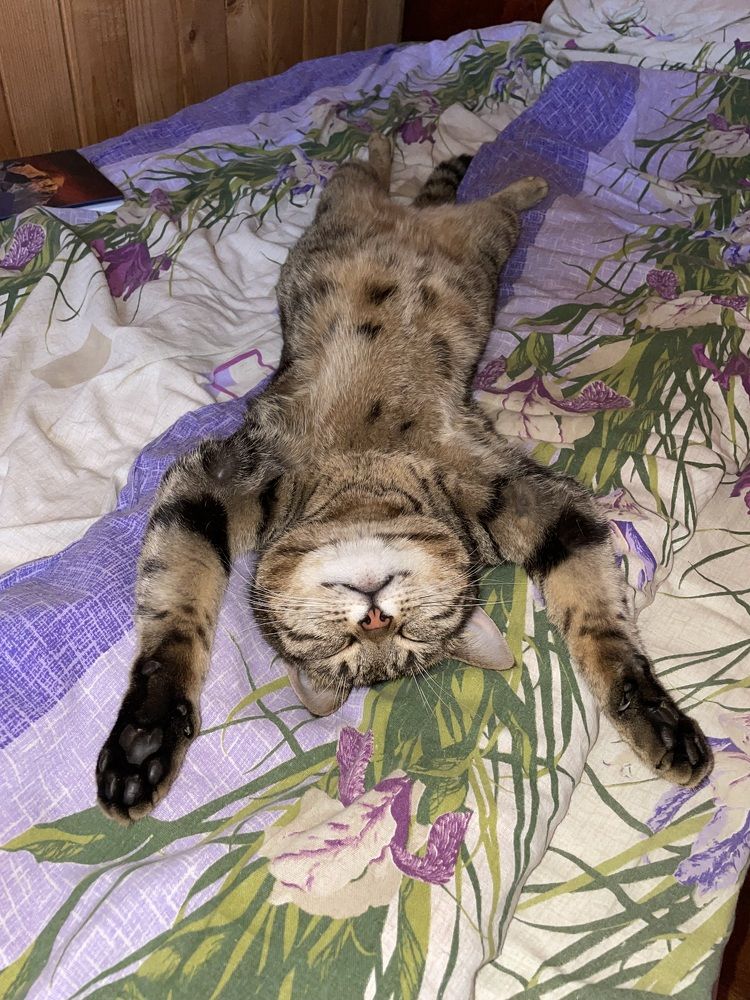 Фотография автора Юлия Недосекина