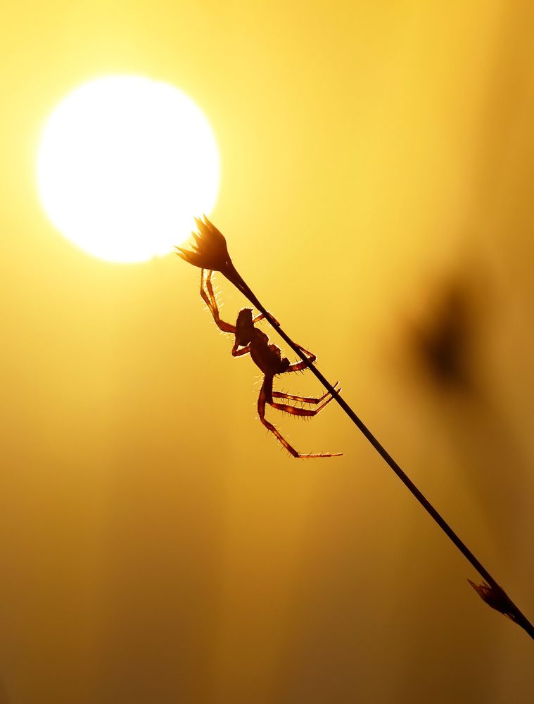 Photograph by Олег Фокин