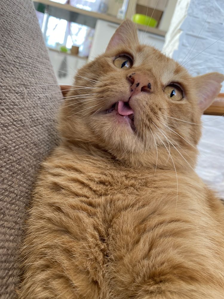 Photograph by Ксения Растокина