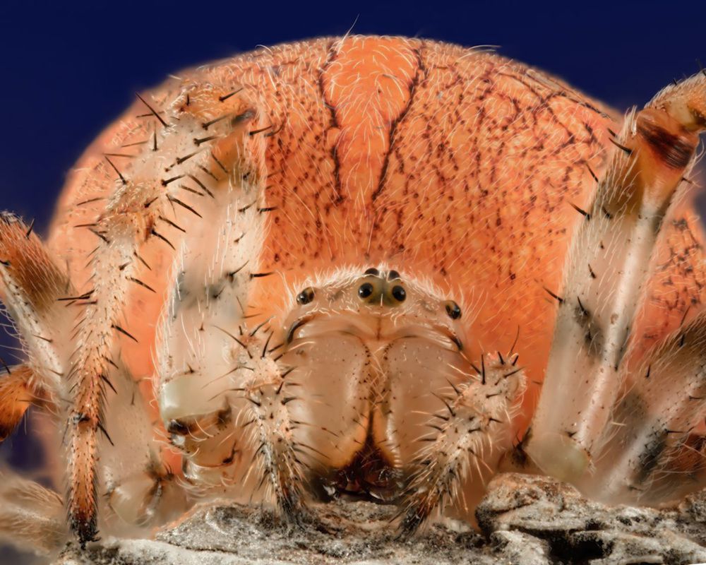 Photograph by Евгений Жуланов