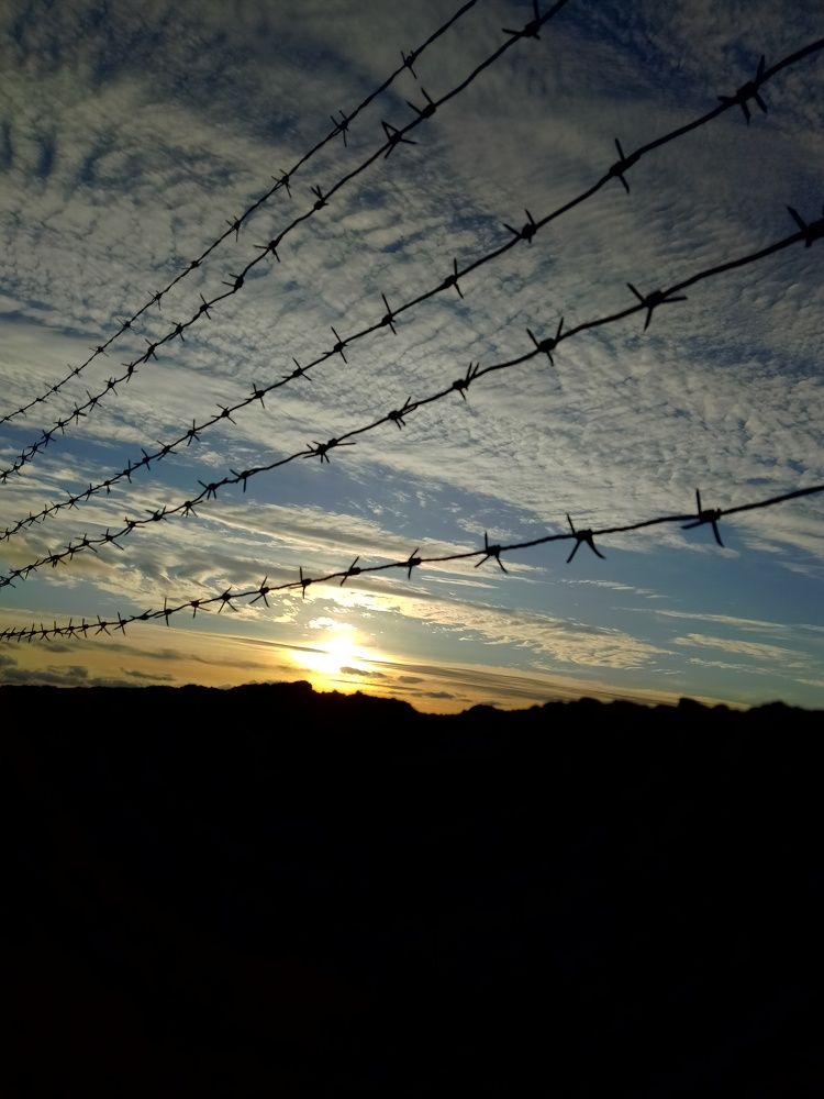 Photo #9745363