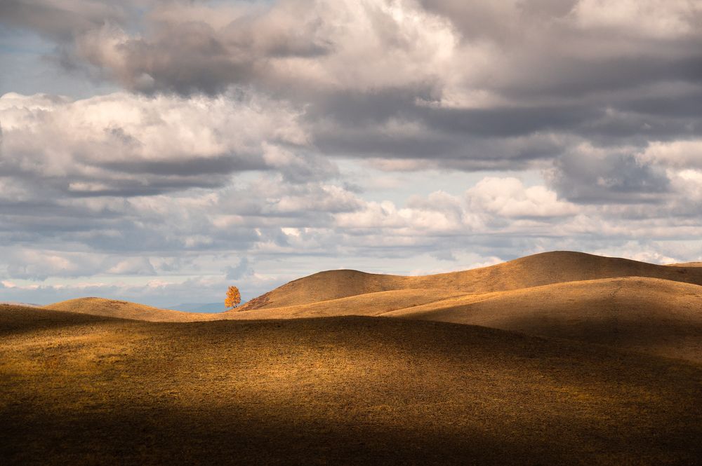 Photograph by Евгений Иванов